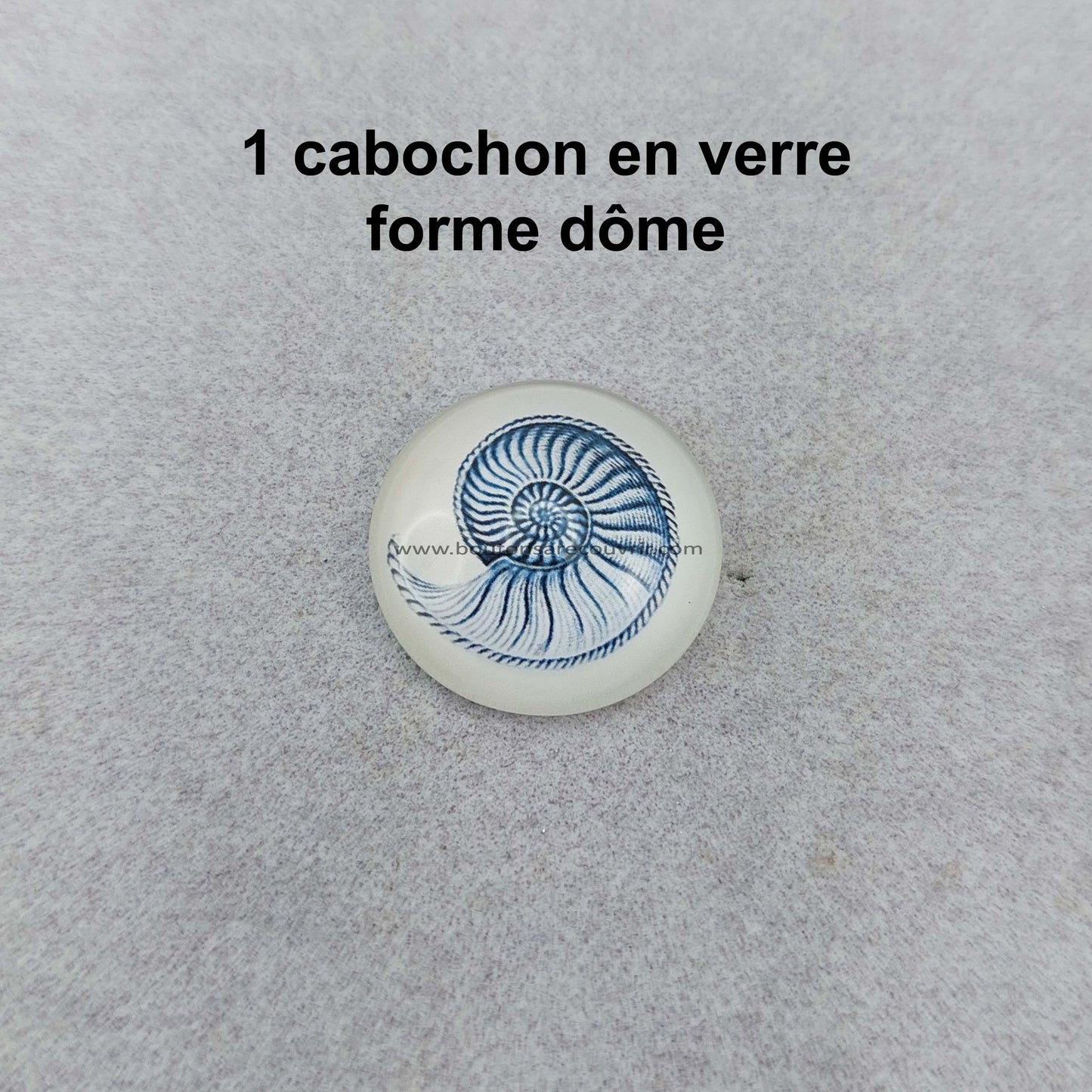 AMMONITE | Cabochon en verre