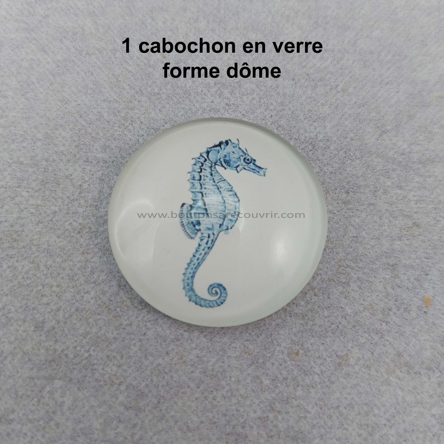 HIPPOCAMPE | Cabochon en verre
