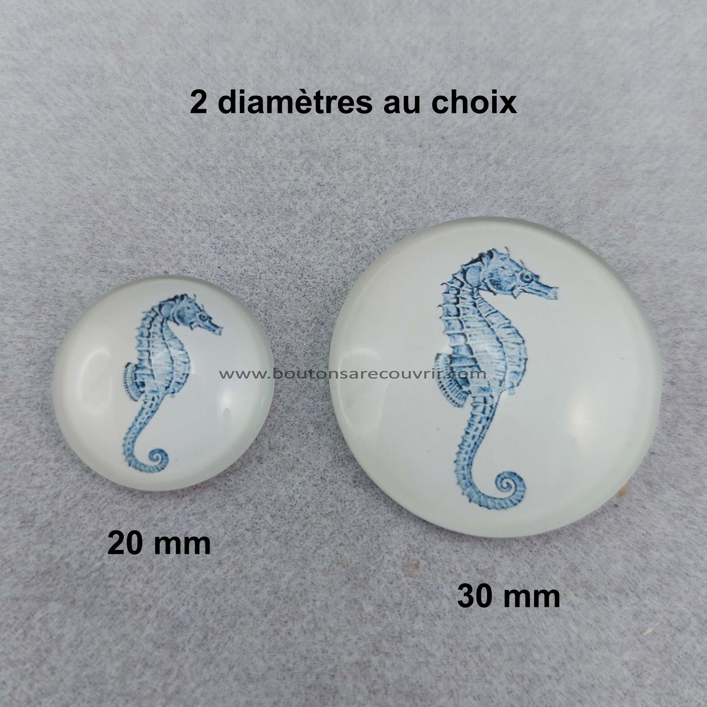 HIPPOCAMPE | Cabochon en verre