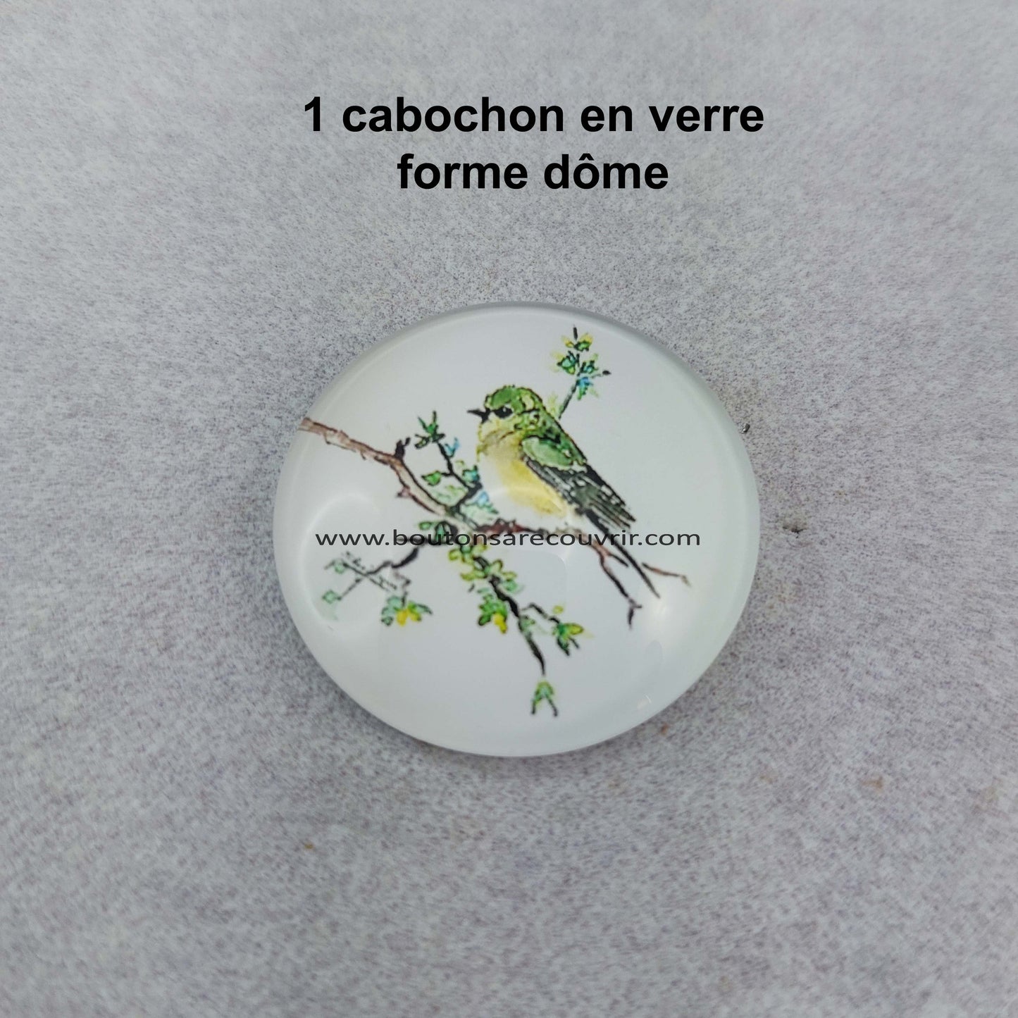 MESANGE | Cabochon en verre