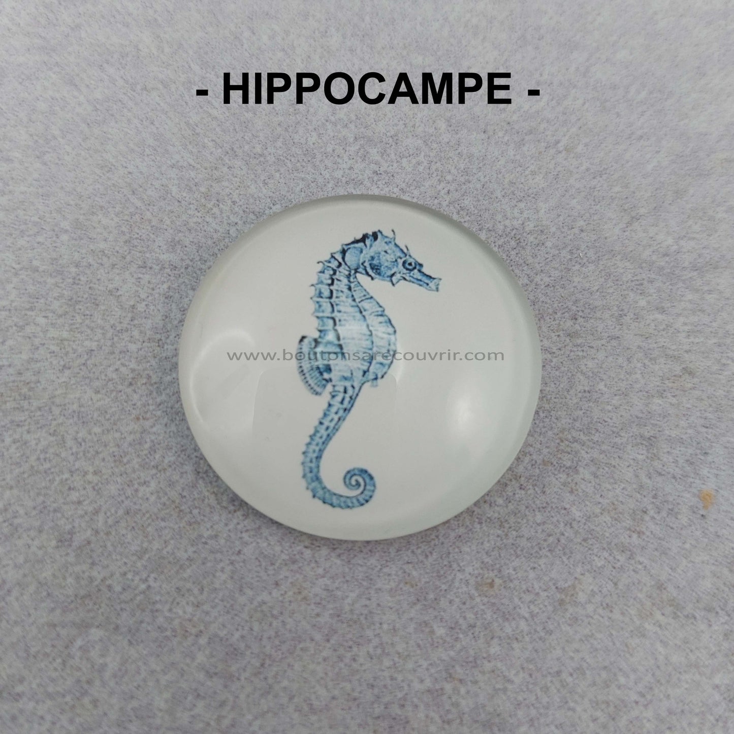 HIPPOCAMPE | Cabochon en verre