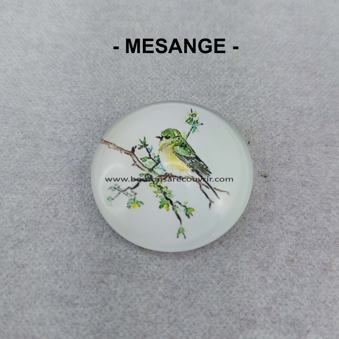 MESANGE | Cabochon en verre