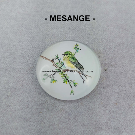 MESANGE | Cabochon en verre
