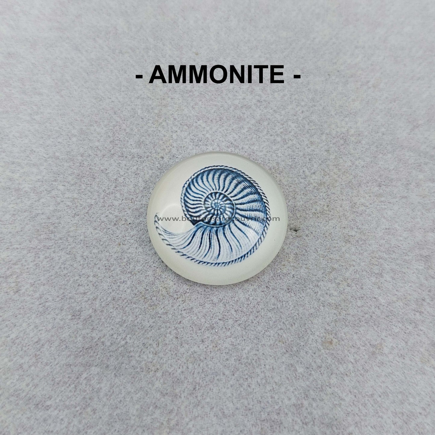 AMMONITE | Cabochon en verre