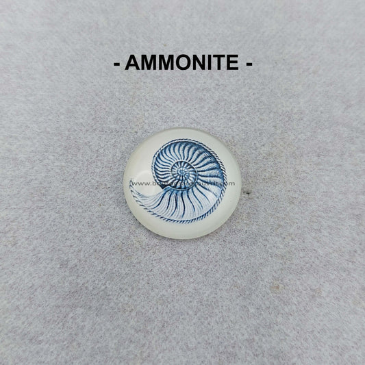 AMMONITE | Cabochon en verre