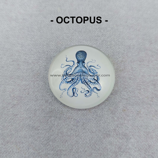 OCTOPUS | Cabochon en verre