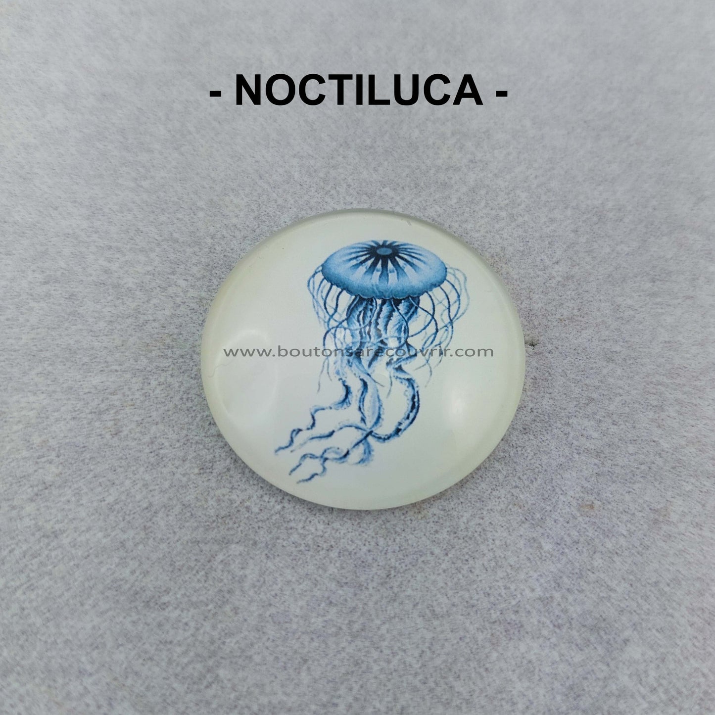 NOCTILUCA | Cabochon en verre