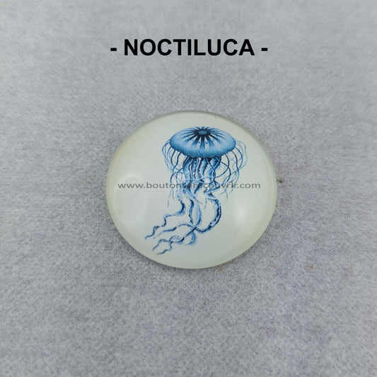 NOCTILUCA | Cabochon en verre